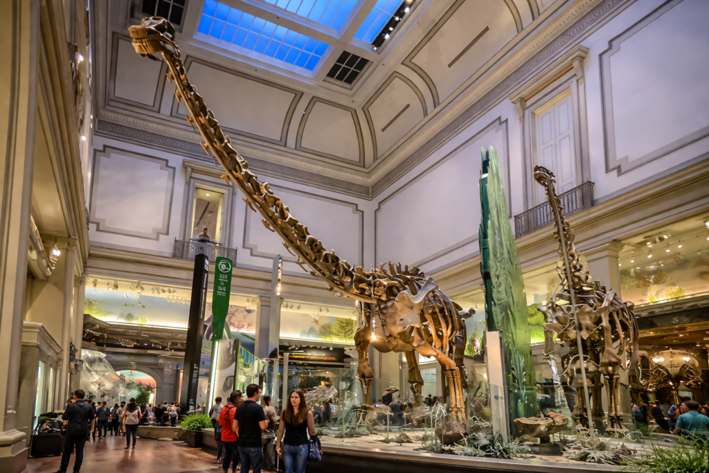 National Museum of Natural History