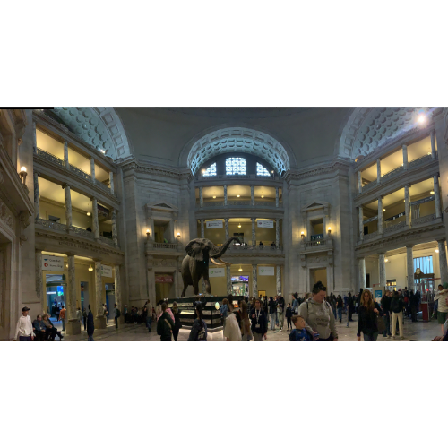Main attraction at the lobby of National Museum of Natural History