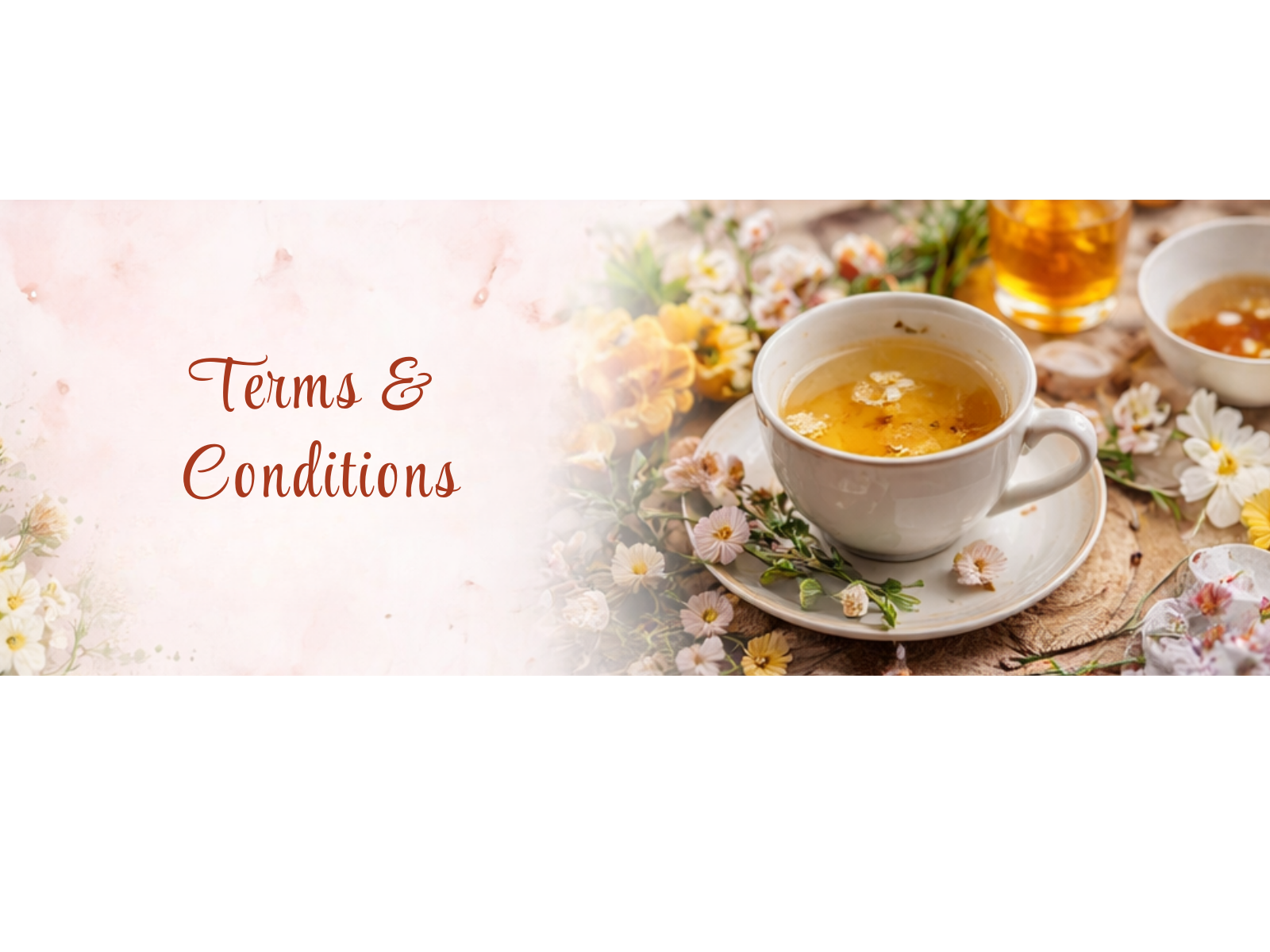 Terms & Conditions
