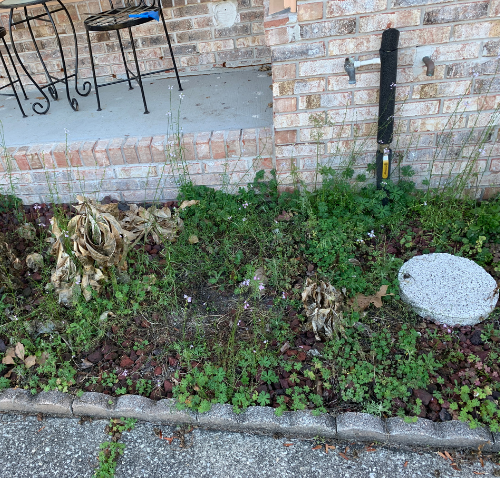 Messy & Overgrown Weeds 2