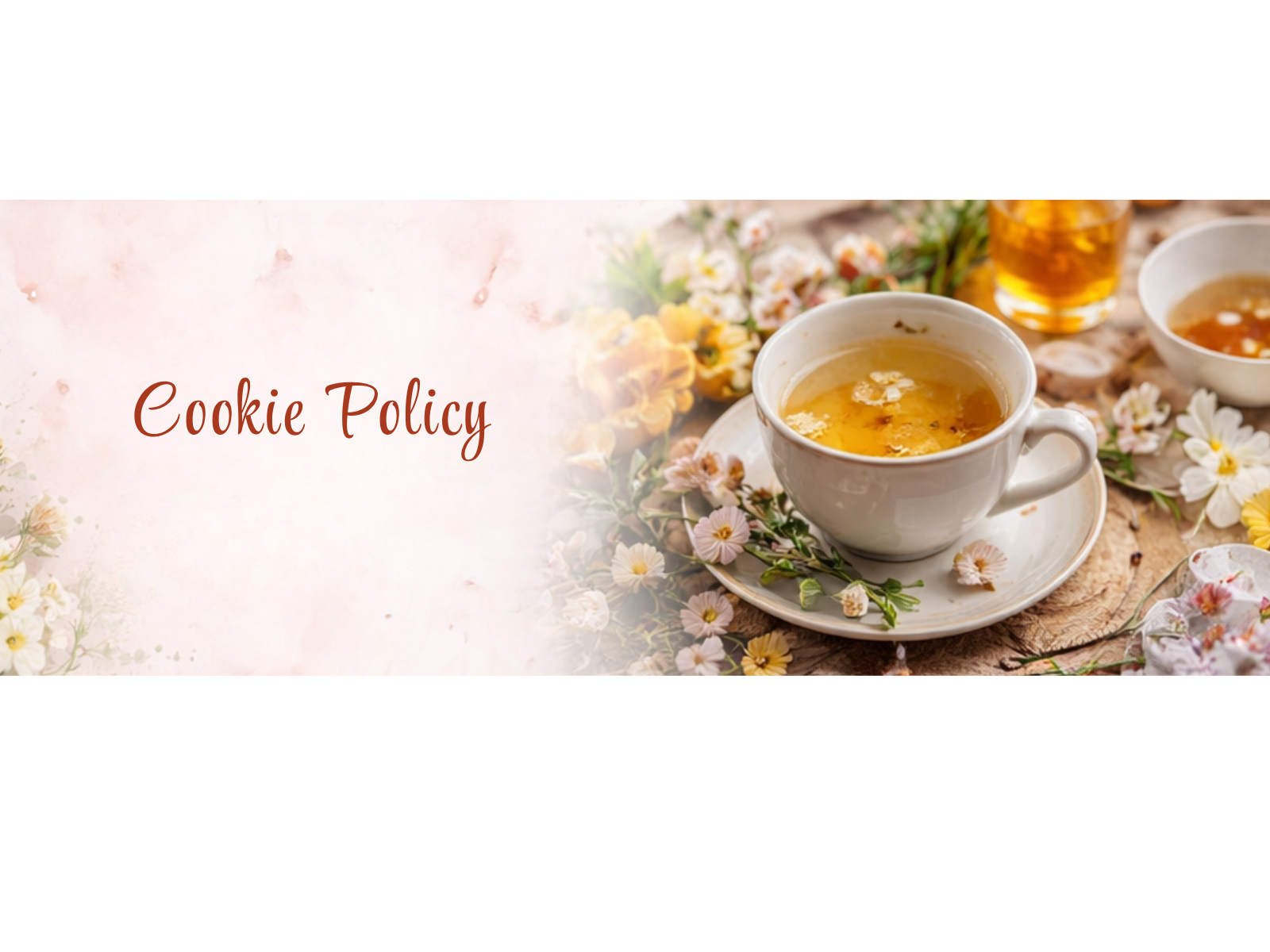 Cookie Policy